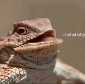 Meet your Posher, Eileen